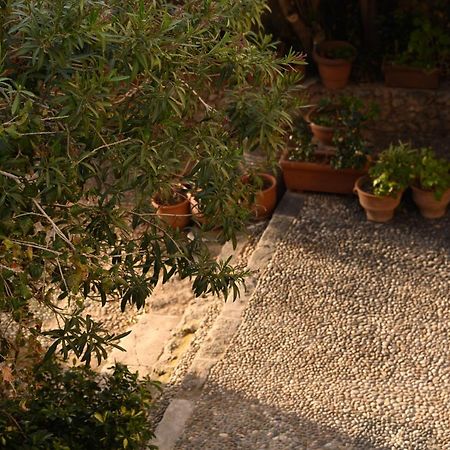 Villa Casa Artia La Canea Esterno foto